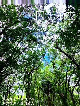 “天空夺走了他的父母,大海湮灭了他的爱人,至此,真正的囚于永夜”#囚于永夜 #339 #迟述