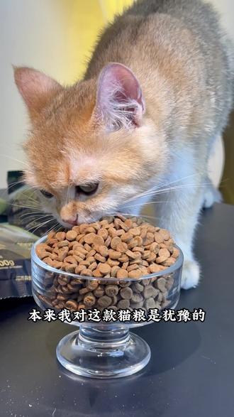 闲牧这款猫粮,真的可以试试 我家大猫小猫都爱吃#毛孩的放心口粮 #猫粮 #猫粮推荐 #新手养猫 #超便宜超划算