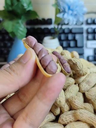 一定要试试这款花生!精选龙岩本地好花生,用湿烤工艺锁住了香味和水分。原味的越吃越上瘾,没有怪味,口感软糯,当零食、配粥都超赞,妥妥的居家必备小零嘴!#龙岩湿烤花生 #强烈推荐 #快来一起尝个鲜 #零食推荐