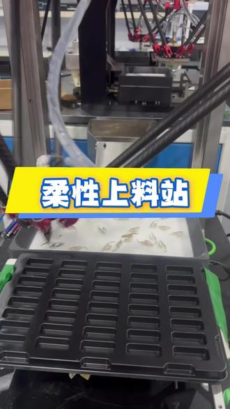 柔性上料站是柔性生产必备 柔性上料站是柔性生产的首#柔性震动盘 #柔性振动盘 #柔性上料站 #柔性供料 #蜘蛛手摆盘机