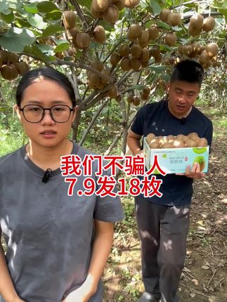 #徐香猕猴桃