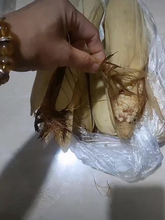 一大早被电话叫醒的,给我送来煮的玉米,这哪是玉米啊,分明是甜蜜,是幸福……#辛寨小不点童装##日常分享