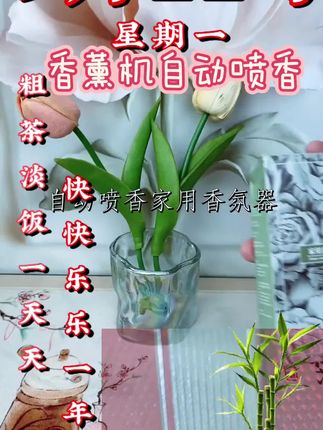 #香薰机自动喷香机 #家用室内持久留香 #卧室香氛空气清新#厕所除臭小型雾化
