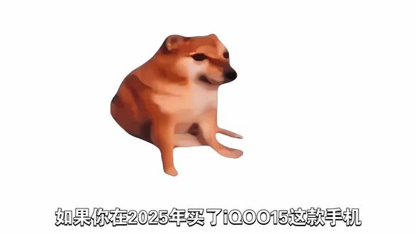 如果当时你买了iQOO15,那么恭喜你避开了15年所有的坑 #iQOO15 #拍机堂卖机