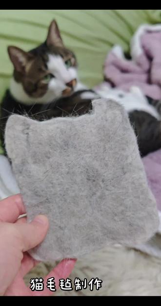 梳下来的猫毛再也不用堆在一起啦#猫毛解决方案 #毛毡 #萌宠日常记录 #日常vlog #diy