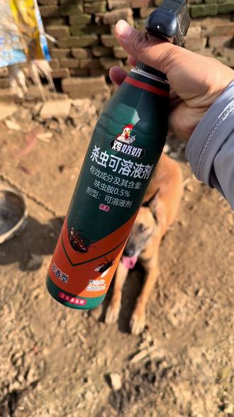 我只恨自己没有早点知道这个鸡奶奶,真的太好用了
