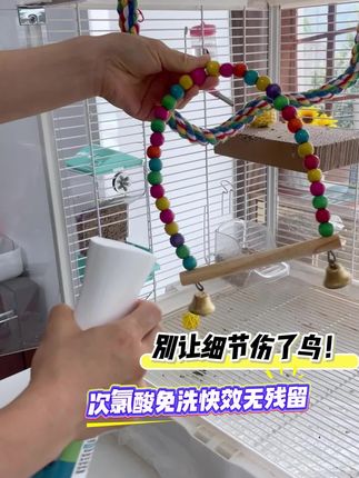 养鹦鹉不能忽略的细节,可能严重影响鸟宝健康#宠物笼子 #鹦鹉鹦鹉萌萌哒逗鹦鹉 #鹦鹉日常 #养鸟好物 #养鸟经验分享