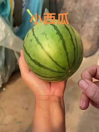 手撕冰糖小西瓜,皮薄厚肉,香甜可口,大人小孩都爱吃#小西瓜