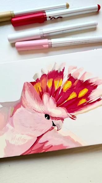 粉色凤头鹦鹉|丙烯马克笔手绘 #画鹦鹉 #丙烯马克笔绘画 #鹦鹉绘画 #绘画 #画画
