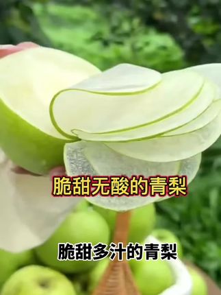 #新鲜采摘 #脆甜多汁 #优质水果 原产地发货的青梨#绿色食品 #感谢平台助推上热门