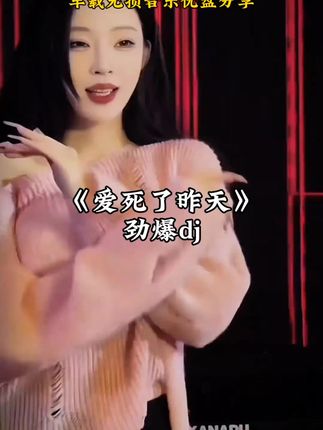 【老歌经典DJ版】成名曲DJ车载音乐U盘金曲7890后全dj无损MP3优盘#车载音乐u盘 #车载dj音乐 #经典老歌分享 #老歌带dj #怀旧金曲