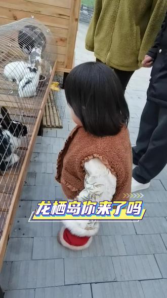 “自然基底” + “童话美感” + “探索教育” 的三重融合。它不止让孩子“玩累了”,更让他们“玩好了”——在游戏中接触自然,激发勇气和想象力。#龙栖岛#濮上园旅游度假区 #濮上园#禾木玉兰幼儿园#濮阳宝妈#