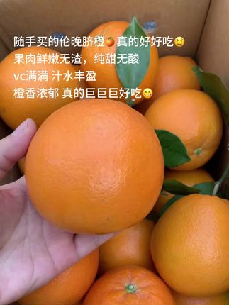 随手买的伦晚脐橙🍊真的太惊艳了,果肉鲜嫩 无渣,纯甜无酸!VC满满,汁水丰盈!橙香味浓郁,真 的太好吃了!#伦晚脐橙#橙子#秭归伦晚#口感特别好#应季水果
