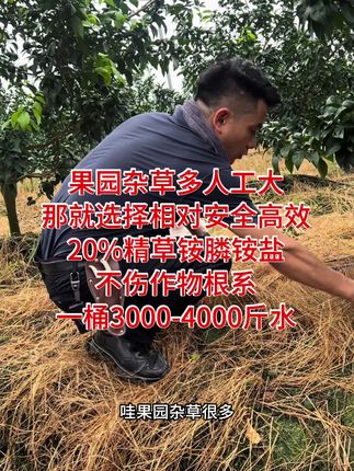 20%精草铵膦铵盐,打草效果好,经济实惠