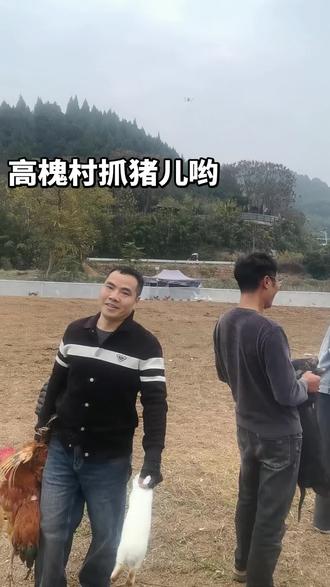 #户外 #抓猪挑战 还是老同学厉害抓了一个猪👍,我只有抓鸡安慰下了😁#高槐村抓猪活动现场 下次一定要去把抓猪抓到😎