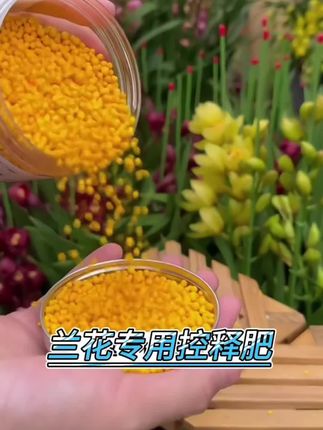 只要把它往花盆里一撒,就能给兰花精准控制养分释放,它就是#兰花专用控释肥 #大花蕙兰 #兰花养护 #记录猫咪日常