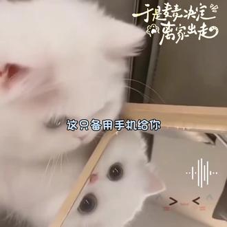 肖茂密。!^^#于是麦麦决定离家出走 #凛麦 #猫耳fm