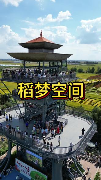 稻梦空间5.29终于要开园了 还能免费入园游玩~ #稻梦空间#夏赏稻田冬玩雪#沈阳乡村游玩天花板#跟着东北超游东北
