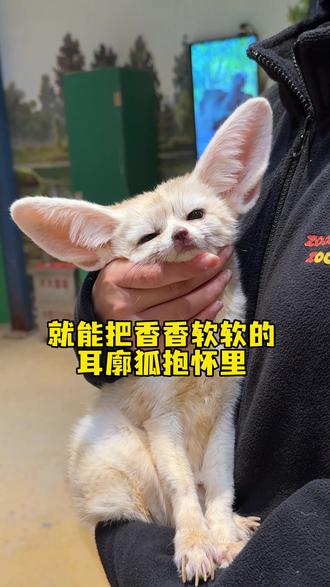 周末一定要去武汉zoolung #武汉 #室内动物园 #情侣约会 #亲子游玩好去处 #野生动物零距离