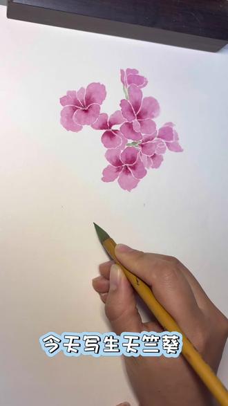 今天画 天竺葵→“幸福之花”#没骨画 #跟着抖音学画画 #过程 #花的世界很美