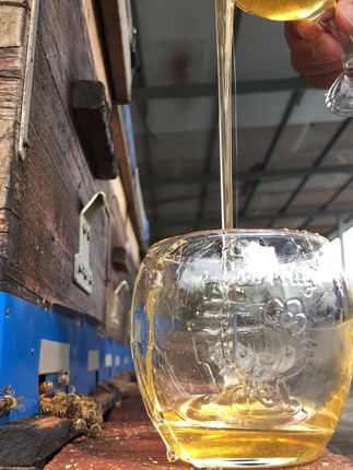 直播中,需要蜂蜜,蜂王浆的朋友,点我头像,主页里面,店铺橱窗下单#蜂蜜 #蜂王浆 #蜂王胎