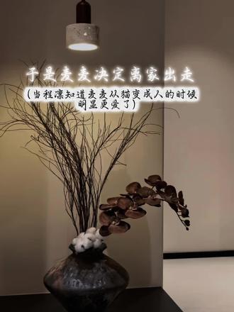 程凛明显慌了 #于是麦麦决定离家出走 #广播剧 #猫耳fm #程凛麦麦