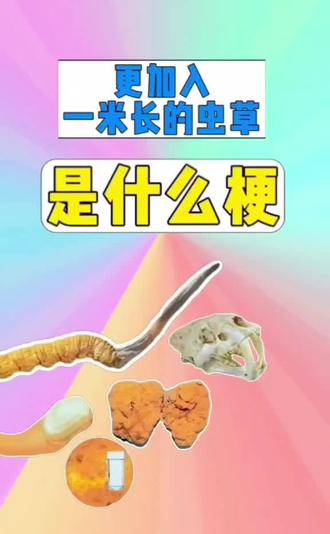 更加入一米长的虫草是什么梗?#王尼玛 #梗 #抽象 #保健品 #更加入一米长的虫草