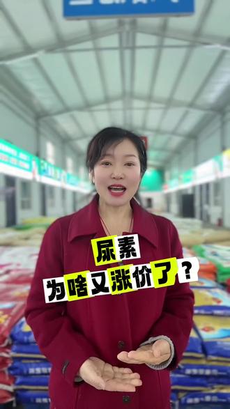 #尿素#尿素价格行情走势分析 #农资肥料#三农#花大嫂农资大卖场