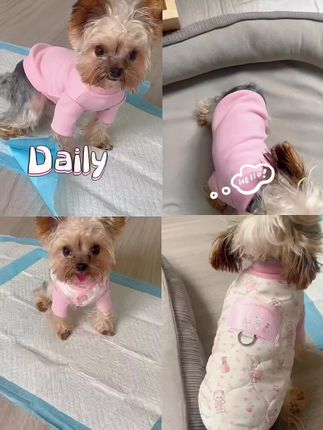 谁说男孩子不能穿粉色#萌宠出道计划 #宠物衣服 #约克夏 #小型犬