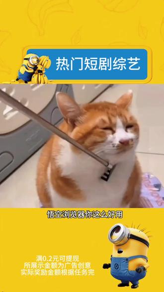 热门爆款综艺全覆盖#悟空浏览器 #悟空短剧