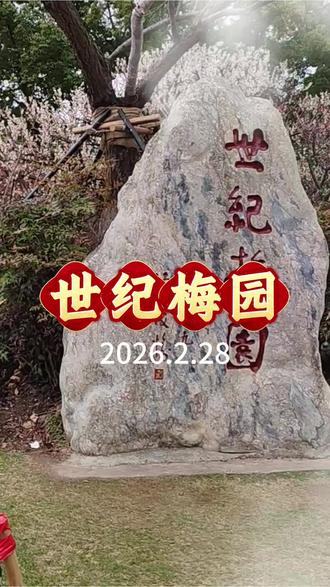 现在去世纪公园梅园赏花正当时!2026年赏梅游园会持续至3月15日,目前梅花正值盛花期尾声,去还能赶上最后一波春日限定美景 ,世纪公园梅园,静待美人梅盛开。#大自然的美无处不在