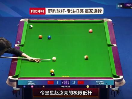 赵汝亮的极限低杆操作#台球比赛 #台球赛事 #呼叫我的球搭子 #赵汝亮