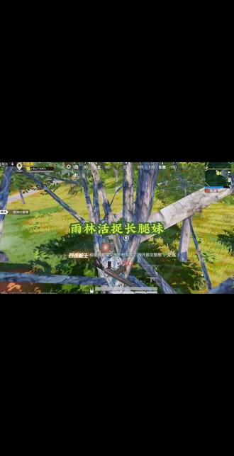 #和平精英 #和平精英游戏攻略分享