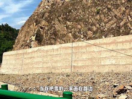 用画笔守护雪豹一家的山野生活#墙绘 #壁画师 #创作灵感 #雪豹 #可爱动物