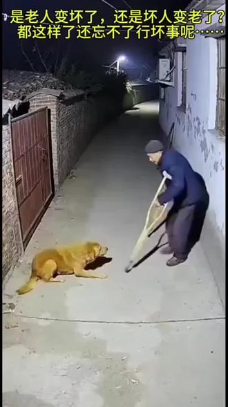 这就是善恶有报!!!……