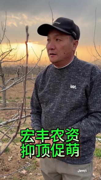 果园管理无小事
当下抑顶促萌是果园的重要节点#果园管理 #果树种植管理