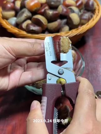 谁还说板栗不好剥皮? #剥板栗神器 #板栗开口器 #剥板栗技巧