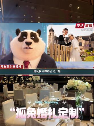 没开玩笑,我的婚礼上了动物城的新闻#疯狂动物城2 #婚礼 #婚礼现场 #婚礼暖场视频 #婚礼开场视频