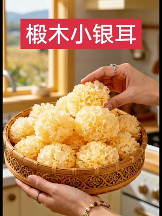 椴木小银耳 #银耳#银耳羹 #健康食材 #甜品美食 #好吃不贵经济实惠