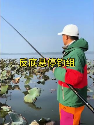 免调漂反底悬停七星漂线组,不仅能防挂底,而且反底浮起的饵料更容易被大鱼发现,大大提升中鱼率#免调七星漂#钓鱼技巧 #反底钓法 #钓鱼