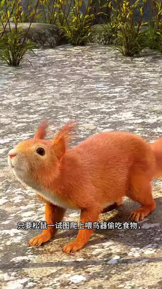 松鼠能爬的上去吗
