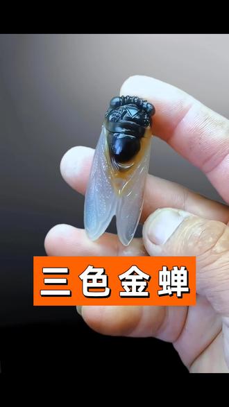 一位大哥送给即将上大学儿子的金蝉吊坠,你们认可他儿子说的话吗?#玉雕#手艺人#吊坠#金蝉#一鸣惊人