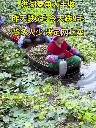 #快来一起尝个鲜 #抖音助农扶农 #农产品 #洪湖菱角