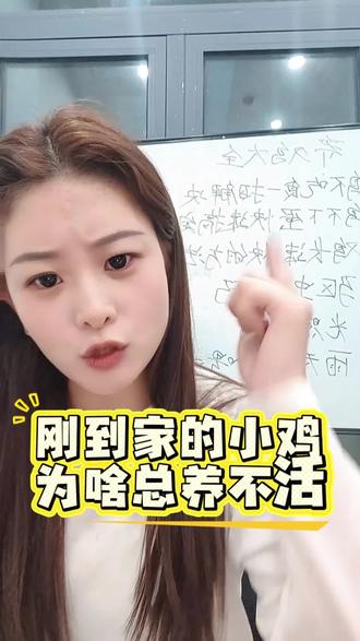 刚到家的小鸡为什么总养不活 #生活服务热点中心 #养鸡 #养鸡小妙招 #养鸡人 #三农流量扶持计划 @DOU+上热门 @DOU+小助手