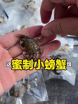 专钓大鱼的小螃蟹,钓大鲷鱼用的小螃蟹,钓大石斑鱼的小螃蟹,海钓矶钓蜜制小螃蟹钓饵鱼饵 用小螃蟹钓大鲷鱼大石斑大鲈鱼这么好用#大海的馈赠 #海钓 #钓饵 #矶钓 #螃蟹钓鱼