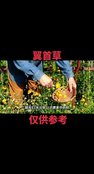 :你是不是总感觉疲惫、状态差?私信留下你的小困扰👐!这里有最接地气的中药养生指南~从厨房常见药材到日常养护技巧,和我一起用传统智慧调养身心,把健康喝进肚子里,养在生活里❤️ 关注不迷路~