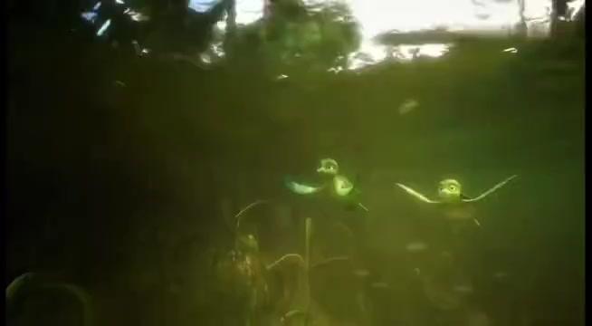 家长群都传疯了,4岁的孩子比高中生眼界还宽阔,问了半天,才发现给孩子看的这央妈高分神级纪录片,可以从小培养孩子的学习力以及对学习的热爱,打开孩子格局#儿童必看十大纪录片 #央视低龄儿童科普纪录片 #育儿经验分享 #家长必读