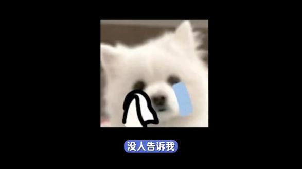 救救我吧,哭哭😭😭😭😭#小米@雷军