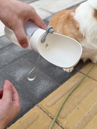 便宜又好看的狗狗户外水杯#萌宠好物