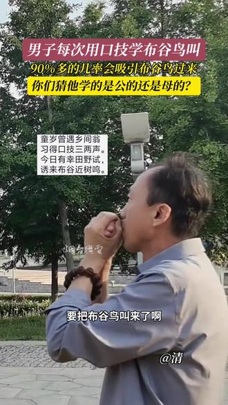 近日,山东烟台。男子学布谷鸟叫,别说还真引来了 !#布谷鸟叫 #口技